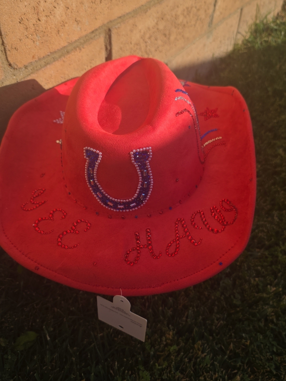 Red Rhinestone Cowboy Hat with Horseshoe Accent YEE HAW/ HOWDY Custom Made